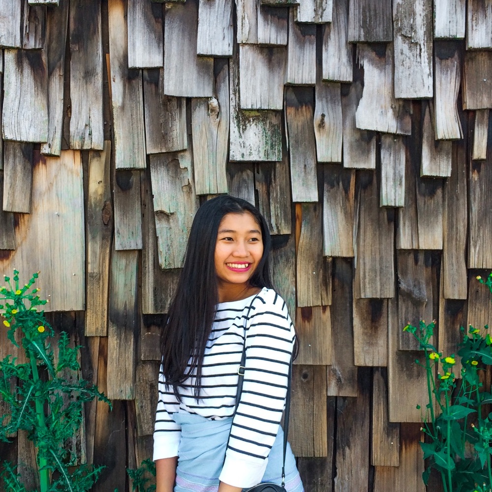 Meet your Posher, Htoo